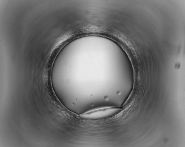 X0000098031309200804181219