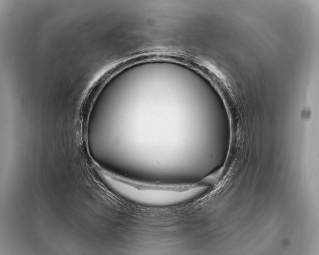 X0000098031310200804181219