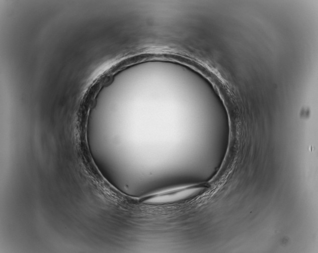 X0000098031311200804181219