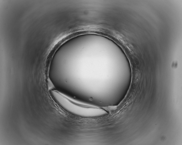 X0000098031312200804181219