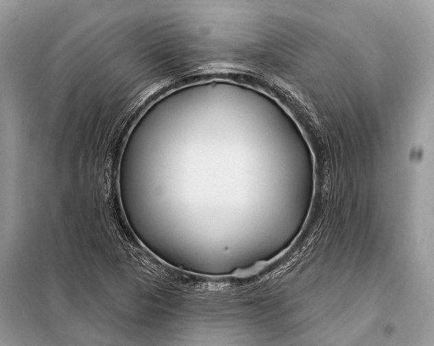 X0000098031313200804181219