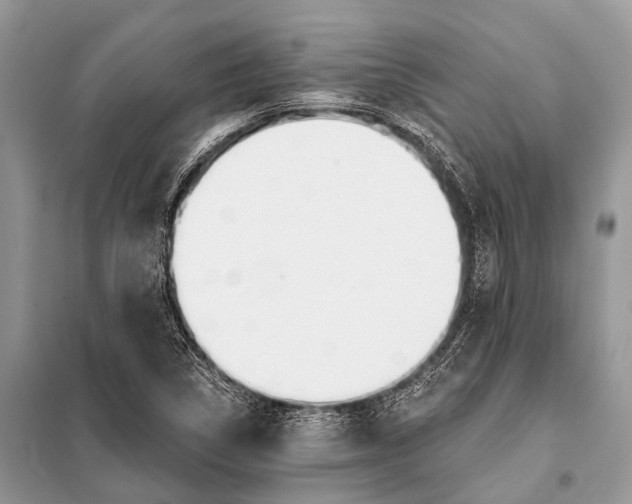 X0000098031314200804181219