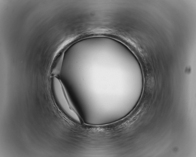 X0000098031317200804181219