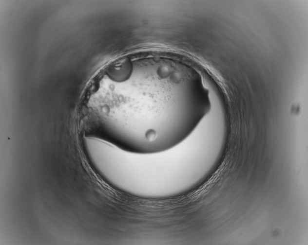 X0000098031318200804181219