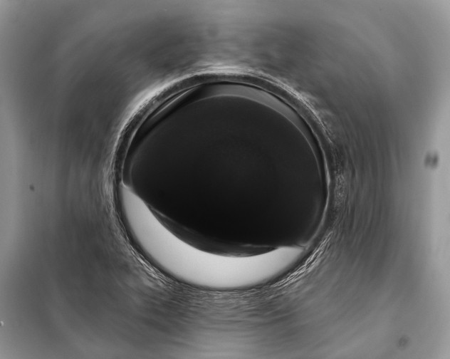 X0000098031319200804181219