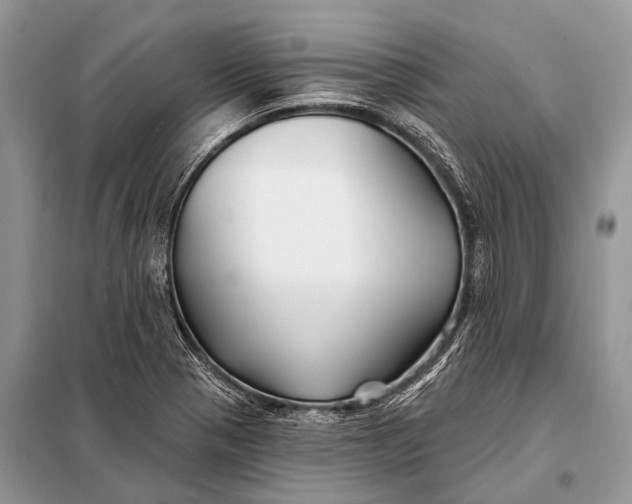 X0000098031321200804181219