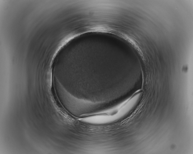 X0000098031323200804181219