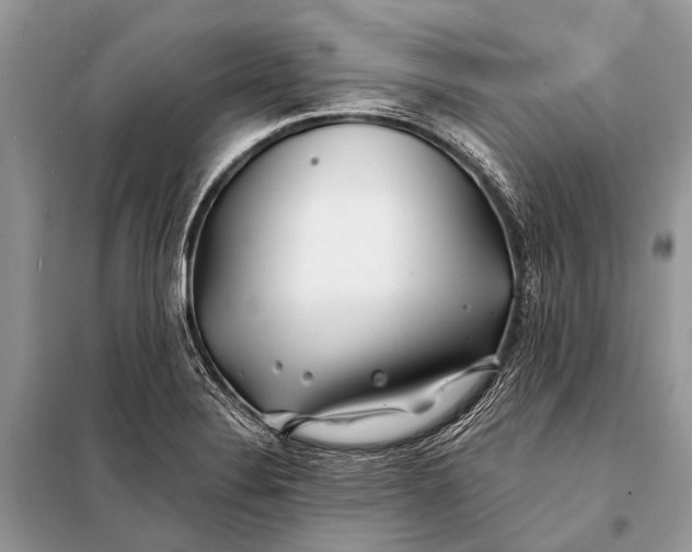 X0000098031324200804181219