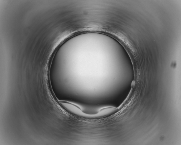 X0000098031325200804181219