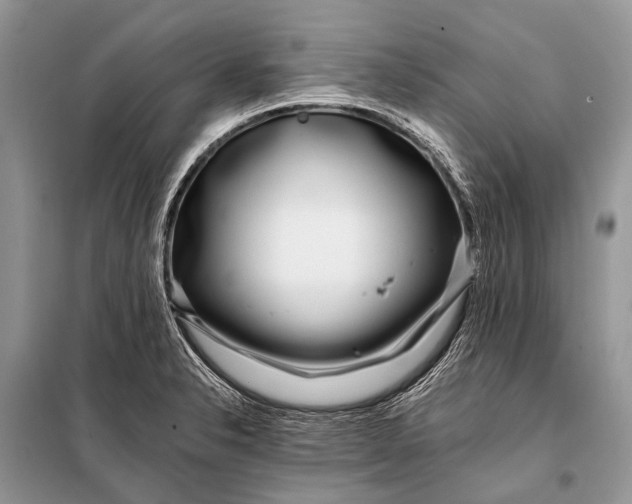 X0000098031326200804181219