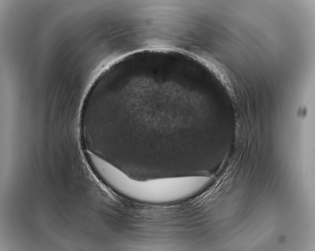 X0000098031327200804181219