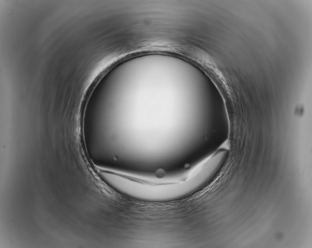 X0000098031328200804181219