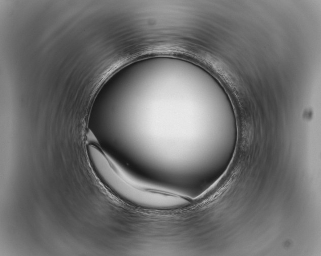 X0000098031329200804181219