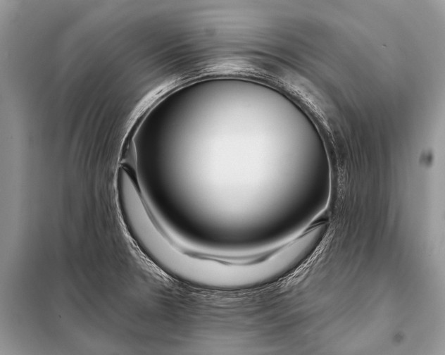 X0000098031330200804181219