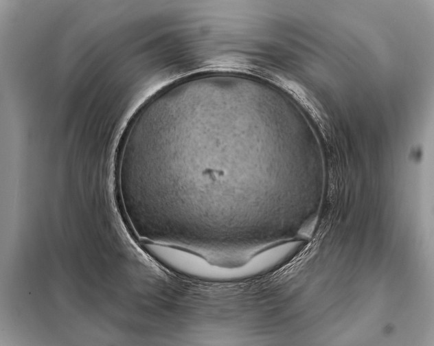 X0000098031331200804181219