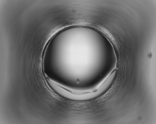 X0000098031332200804181219