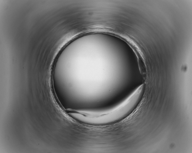 X0000098031333200804181219