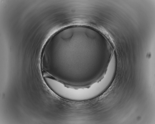 X0000098031334200804181219