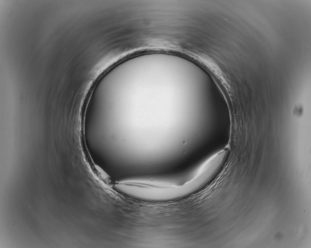 X0000098031335200804181219