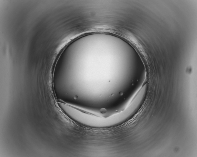 X0000098031336200804181219