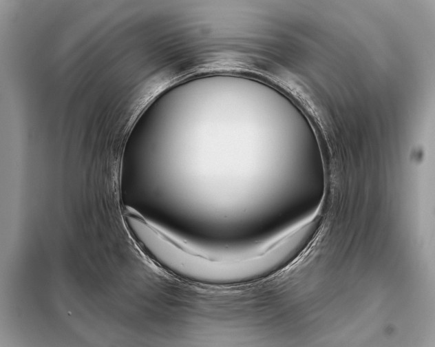 X0000098031337200804181219