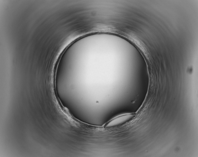 X0000098031339200804181219