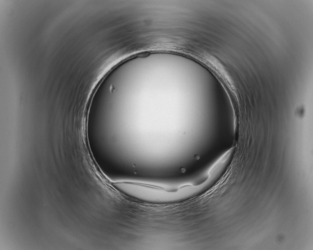 X0000098031340200804181219