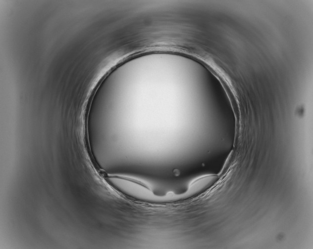 X0000098031341200804181219