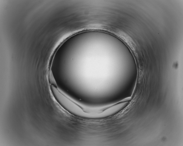 X0000098031342200804181219