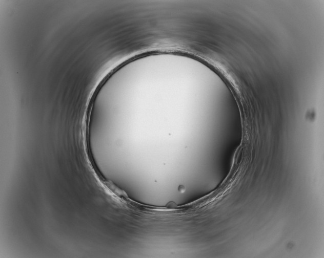 X0000098031343200804181219