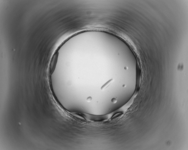 X0000098031344200804181219