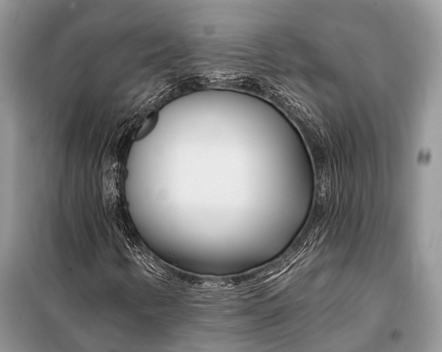 X0000098031346200804181218