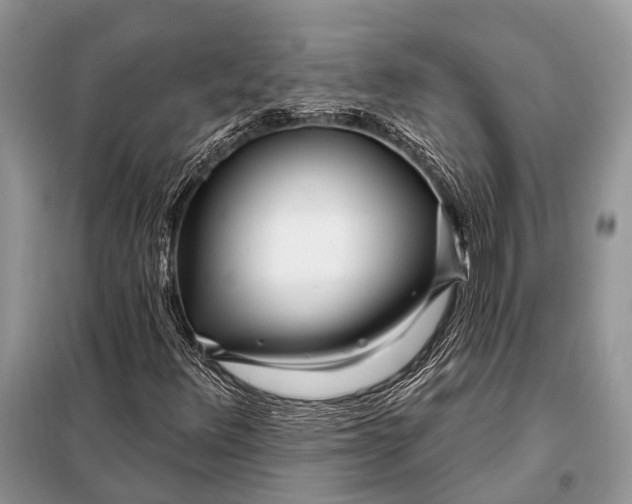 X0000098031348200804181218