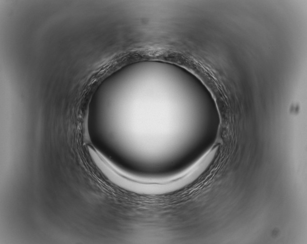 X0000098031349200804181218