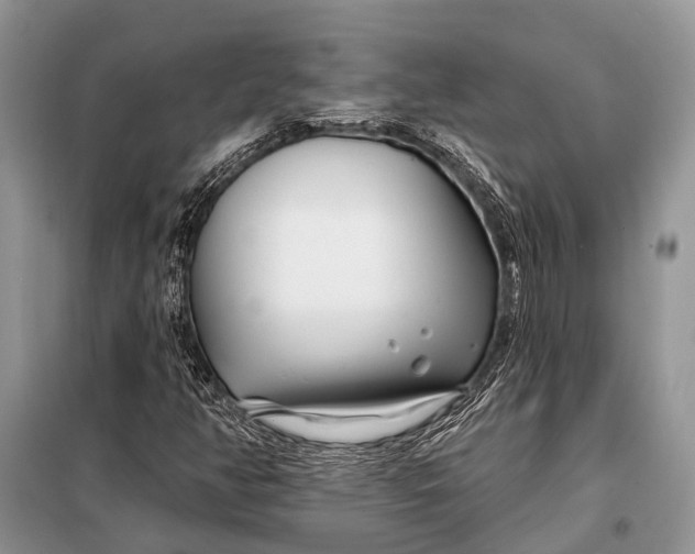 X0000098031350200804181218