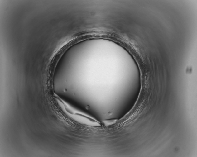 X0000098031352200804181218