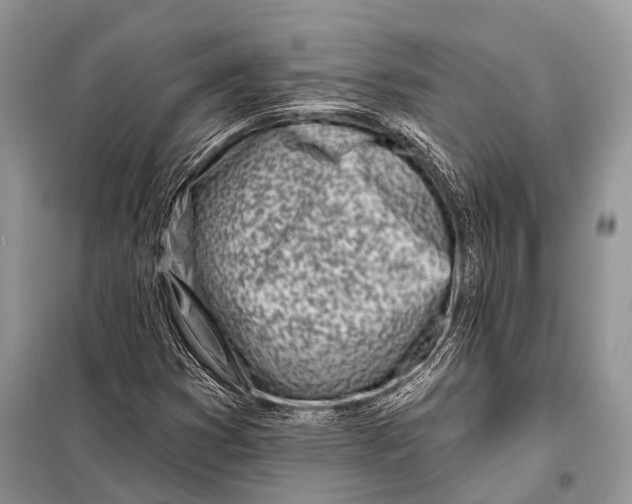 X0000098031353200804181218