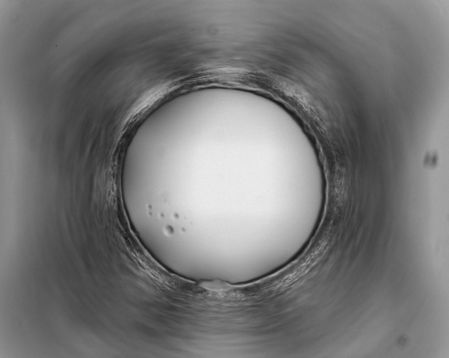 X0000098031354200804181218