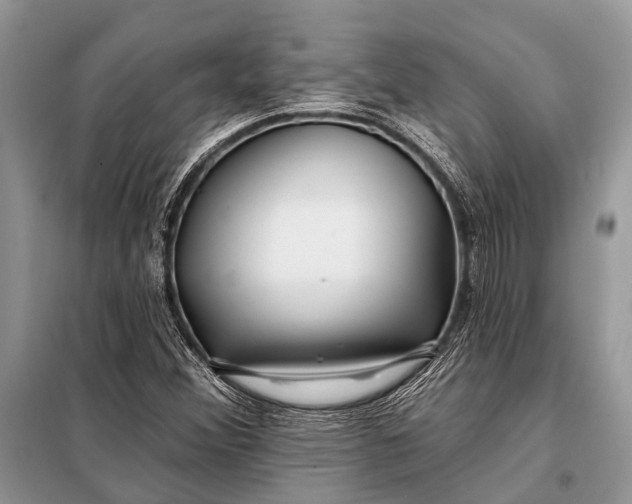 X0000098031356200804181218