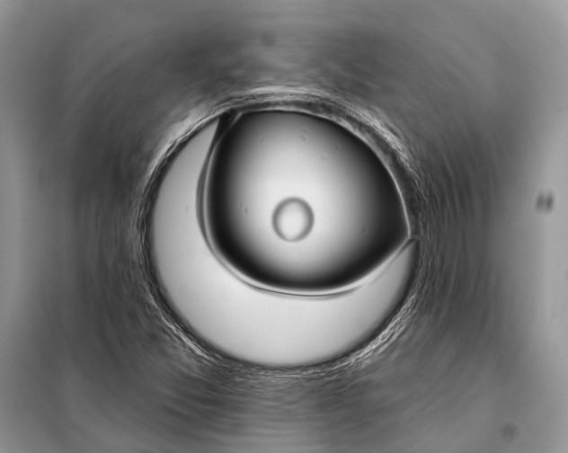 X0000098031357200804181218