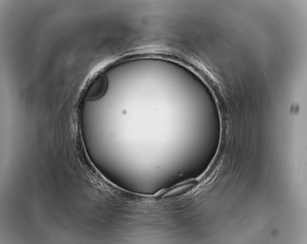 X0000098031358200804181218