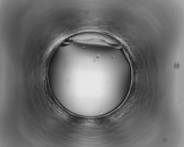 X0000098031359200804181218