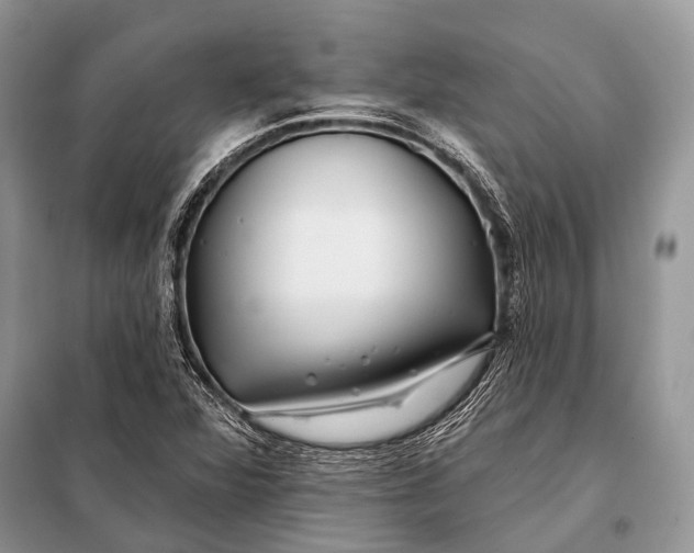 X0000098031360200804181218