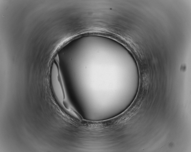 X0000098031363200804181218