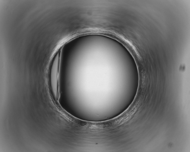 X0000098031365200804181218