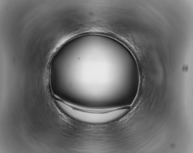 X0000098031367200804181218