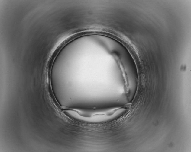 X0000098031368200804181218