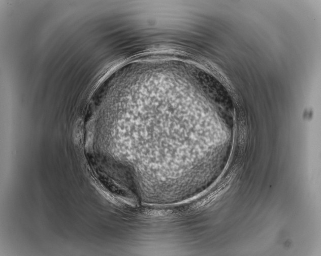 X0000098031369200804181218