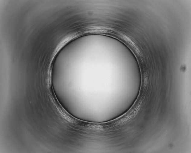 X0000098031370200804181218