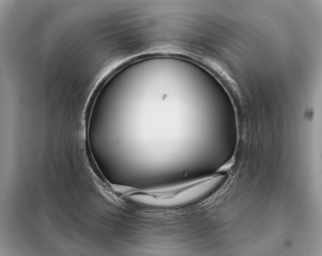 X0000098031372200804181218